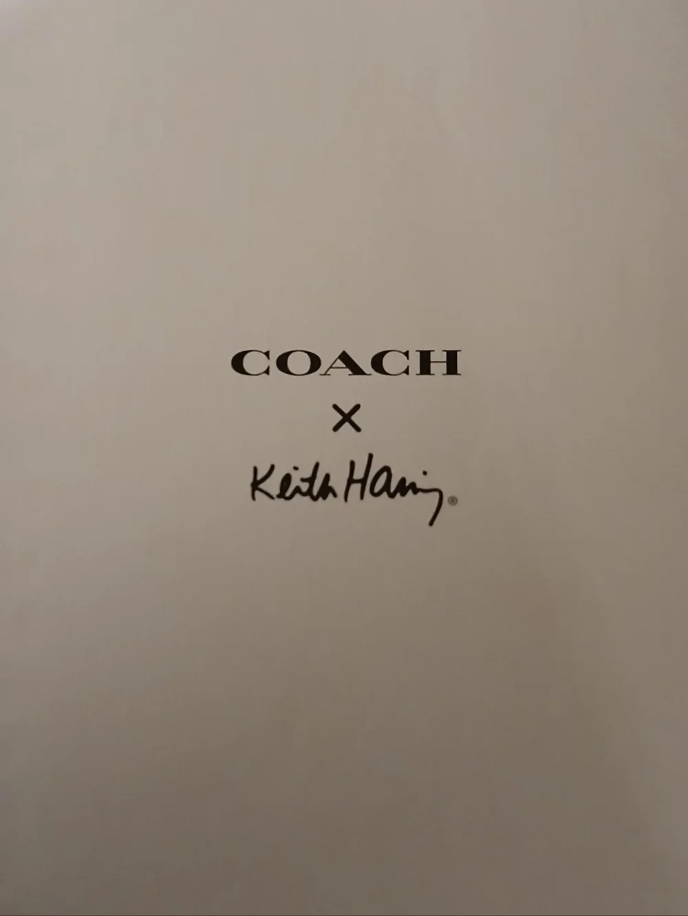 Coach Collab × Keith NWOT RARE Notebook/Journal - Picture 4 of 5